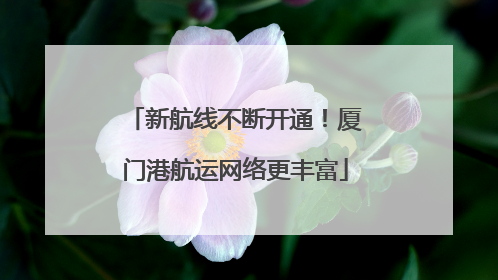 新航线不断开通！厦门港航运网络更丰富