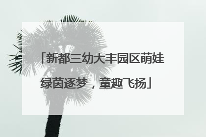 新都三幼大丰园区萌娃绿茵逐梦，童趣飞扬