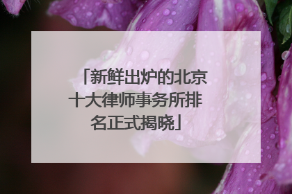 新鲜出炉的北京十大律师事务所排名正式揭晓