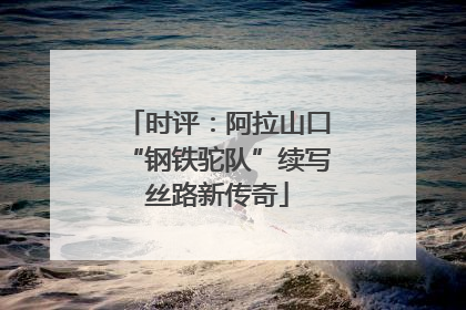 时评：阿拉山口“钢铁驼队”续写丝路新传奇