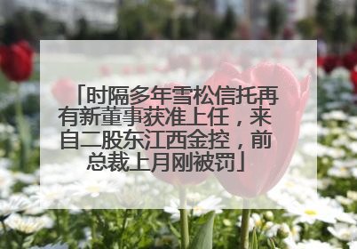 时隔多年雪松信托再有新董事获准上任，来自二股东江西金控，前总裁上月刚被罚
