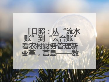 日照：从“流水账”到“云台账”看农村财务管理新变革，莒县——数字赋能激活乡村振兴“一池春水”