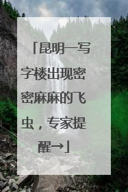 昆明一写字楼出现密密麻麻的飞虫，专家提醒→