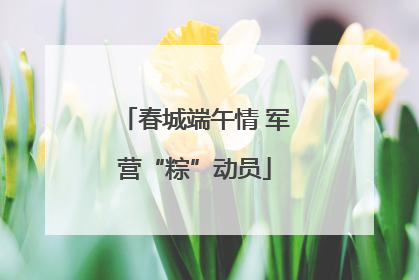 春城端午情 军营“粽”动员