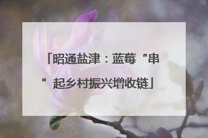 昭通盐津：蓝莓“串”起乡村振兴增收链