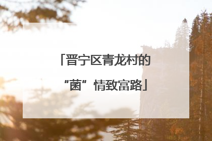 晋宁区青龙村的“菌”情致富路