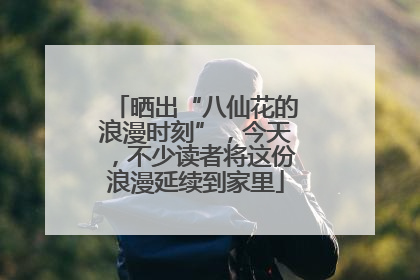 晒出“八仙花的浪漫时刻”，今天，不少读者将这份浪漫延续到家里