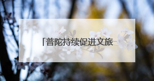 普陀持续促进文旅商体展深度融合，激活区域消费活力