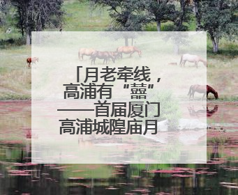 月老牵线，高浦有“囍”——首届厦门高浦城隍庙月老文化活动暨他趣百城见面会隆重举办