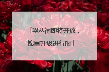 望丛祠即将开放，锦里升级进行时