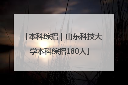 本科综招｜山东科技大学本科综招180人
