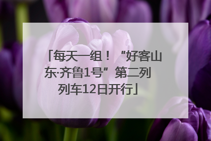 每天一组！“好客山东·齐鲁1号”第二列列车12日开行