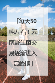 每天50吨左右！云南野生菌交易逐渐进入高峰期