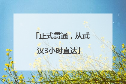 正式贯通，从武汉3小时直达