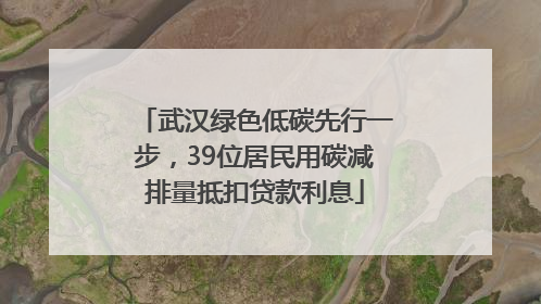 武汉绿色低碳先行一步，39位居民用碳减排量抵扣贷款利息