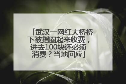 武汉一网红大桥桥下被指圈起来收费，进去100块还必须消费？当地回应
