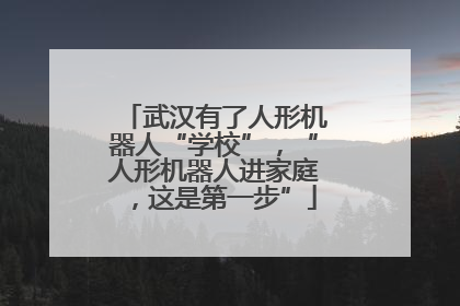 武汉有了人形机器人“学校”，“人形机器人进家庭，这是第一步”