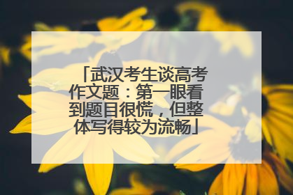 武汉考生谈高考作文题：第一眼看到题目很慌，但整体写得较为流畅