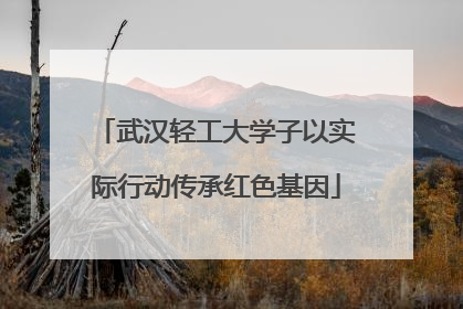 武汉轻工大学子以实际行动传承红色基因