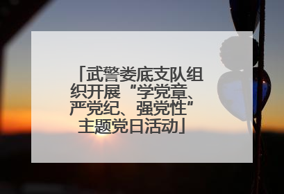 武警娄底支队组织开展“学党章、严党纪、强党性”主题党日活动