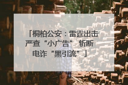 桐柏公安：雷霆出击严查“小广告” 斩断电诈“黑引流”