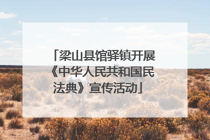 梁山县馆驿镇开展《中华人民共和国民法典》宣传活动
