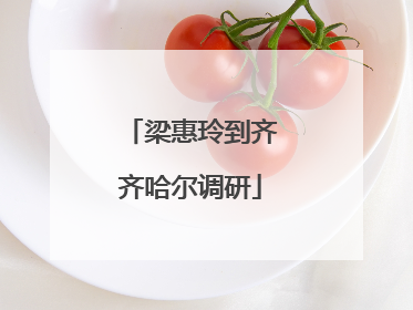 梁惠玲到齐齐哈尔调研
