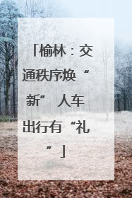 榆林：交通秩序焕“新” 人车出行有“礼”