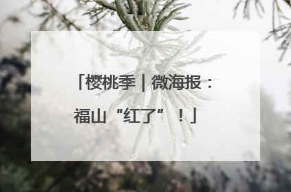 樱桃季｜微海报：福山“红了”！