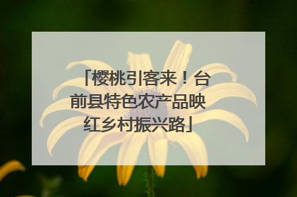 樱桃引客来！台前县特色农产品映红乡村振兴路