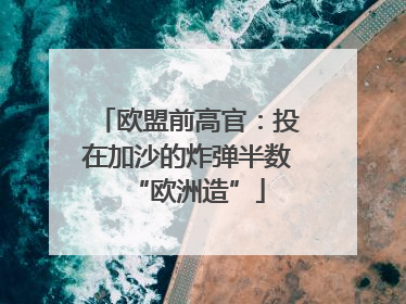 欧盟前高官：投在加沙的炸弹半数“欧洲造”