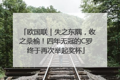 欧国联｜失之东隅，收之桑榆！四年无冠的C罗终于再次举起奖杯
