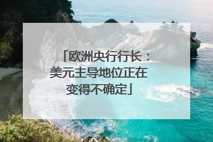 欧洲央行行长：美元主导地位正在变得不确定