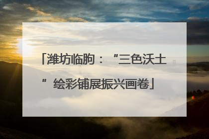 潍坊临朐：“三色沃土”绘彩铺展振兴画卷