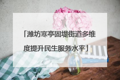 潍坊寒亭固堤街道多维度提升民生服务水平