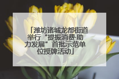 潍坊诸城龙都街道举行“提振消费·助力发展”首批示范单位授牌活动