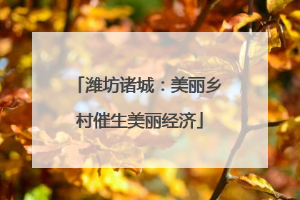 潍坊诸城：美丽乡村催生美丽经济