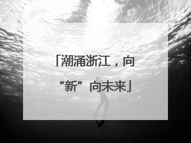 潮涌浙江，向“新”向未来