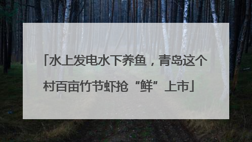 水上发电水下养鱼，青岛这个村百亩竹节虾抢“鲜”上市
