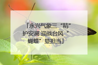 永兴气象三“精”护安澜 迎战台风“蝴蝶”显担当