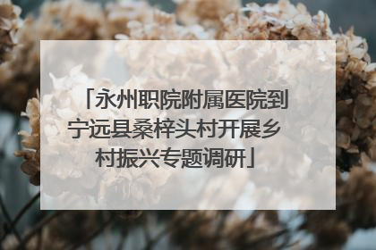 永州职院附属医院到宁远县桑梓头村开展乡村振兴专题调研