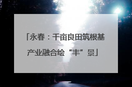 永春：千亩良田筑根基 产业融合绘“丰”景