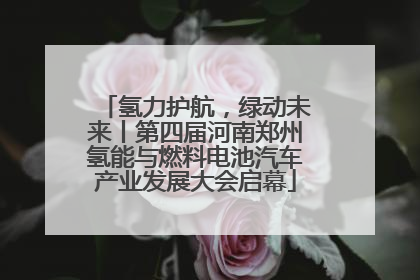 氢力护航，绿动未来丨第四届河南郑州氢能与燃料电池汽车产业发展大会启幕