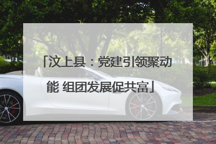 汶上县：党建引领聚动能 组团发展促共富