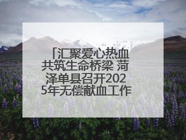 汇聚爱心热血 共筑生命桥梁 菏泽单县召开2025年无偿献血工作启动仪式