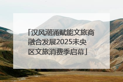 汉风潮涌赋能文旅商融合发展2025未央区文旅消费季启幕