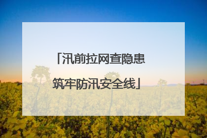 汛前拉网查隐患 筑牢防汛安全线