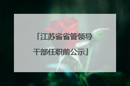 江苏省省管领导干部任职前公示
