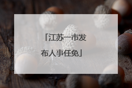 江苏一市发布人事任免