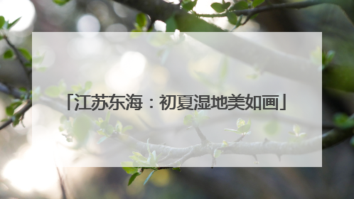 江苏东海：初夏湿地美如画